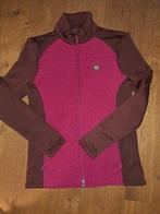 Tommy equistrian vest m, Dieren en Toebehoren, Paardrijkleding, Dressuur, Tommy hilfiger. com, Ophalen of Verzenden, Zo goed als nieuw