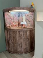Mooie aquarium te koop, Ophalen of Verzenden, Zo goed als nieuw, Leeg aquarium