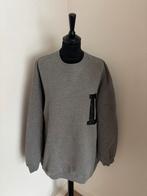 Deblon sweater Philou grijs maat Large ZGAN!!!, Kleding | Dames, Ophalen of Verzenden, Zo goed als nieuw, Maat 42/44 (L), Grijs