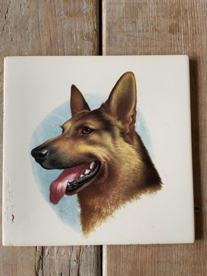 Tegeltje hond / herdershond. Mosa nederland wandtegeltje., Antiek en Kunst, Antiek | Wandborden en Tegels, Ophalen