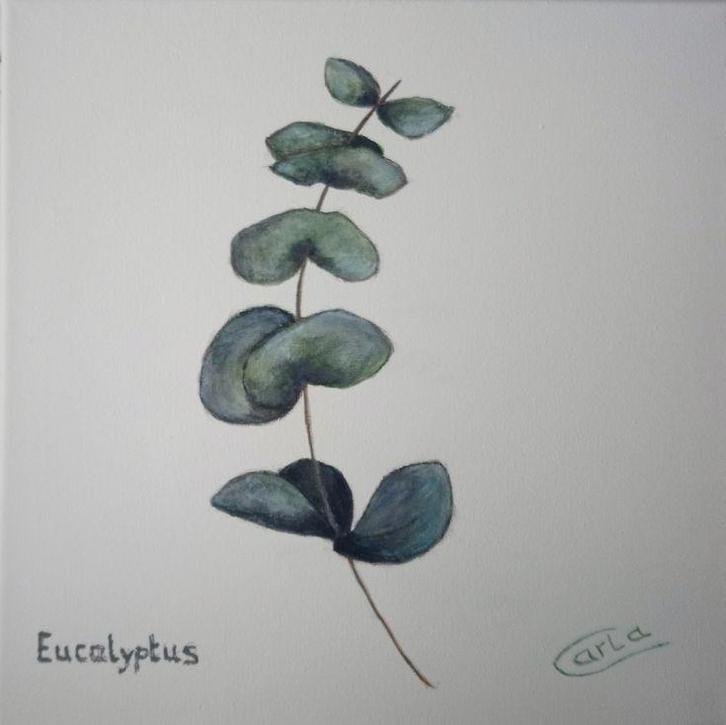 Botanic vibes - (set van drie) Scandinavisch minimalisme, Huis en Inrichting, Woonaccessoires | Schilderijen, Tekeningen en Foto's