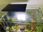 Aquarium Superfish Quadro 70 Pro Zwart, Ophalen, Gebruikt, Leeg aquarium