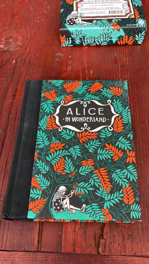 Alice in Wonderland Caroll Floor Rieder, Boeken, Kinderboeken | Jeugd | onder 10 jaar, Zo goed als nieuw, Ophalen of Verzenden