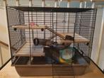 Complete hamsterkooi te koop., Kooi, Gebruikt, Minder dan 75 cm, Hamster