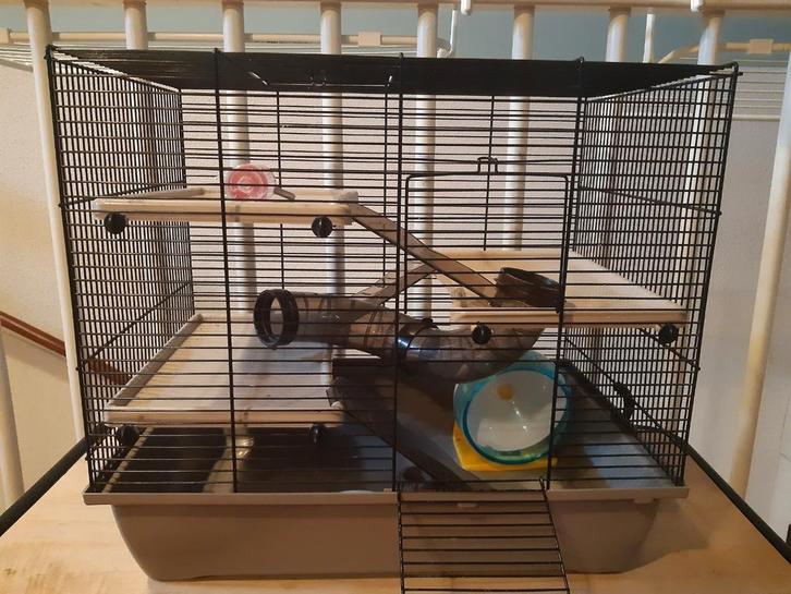 Complete hamsterkooi te koop., Dieren en Toebehoren, Knaagdieren en Konijnen | Hokken en Kooien, Gebruikt, Kooi, Minder dan 60 cm