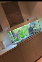 Juwel Rio 180 Led wit + aquariumkast, Dieren en Toebehoren, Ophalen, Zo goed als nieuw, Leeg aquarium