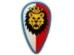 Lego Castle Schild Royal Knights Schilden Ovaal of Driehoek, Ophalen of Verzenden, Zo goed als nieuw, Losse stenen, Lego
