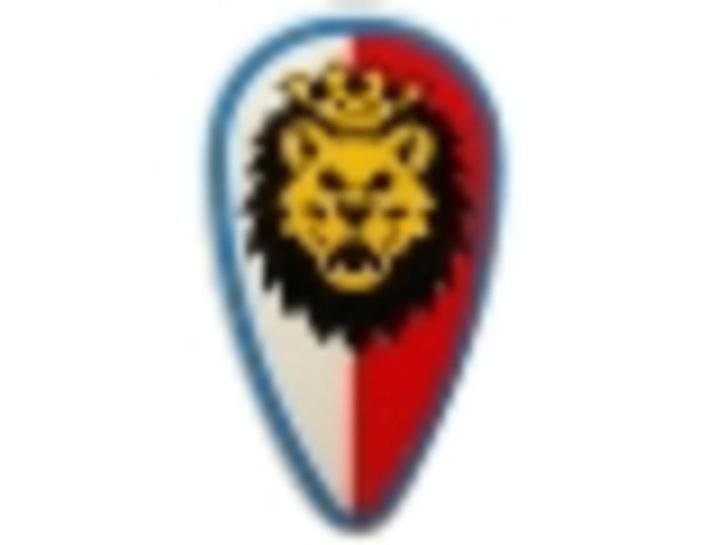 Lego Castle Schild Royal Knights Schilden Ovaal of Driehoek, Kinderen en Baby's, Speelgoed | Duplo en Lego, Zo goed als nieuw