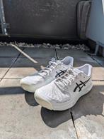 Asics Gel Challenger Padel - maat 41,5 EU, Sport en Fitness, Padel, Ophalen of Verzenden, Zo goed als nieuw, Padelschoenen