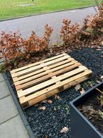 Gratis Houten Pallet - Ideaal voor DIY projecten, Tuin en Terras, Schuttingen, Ophalen, Zo goed als nieuw, Hout