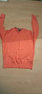 Tommy hilfiger trui
Maat L, Ophalen of Verzenden, Zo goed als nieuw