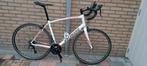 Wielrenfiets specialized secteur, Gebruikt, 57 tot 61 cm, Meer dan 20 versnellingen, Ophalen