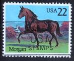 USA  Paarden - Morgan, Verzenden, Noord-Amerika