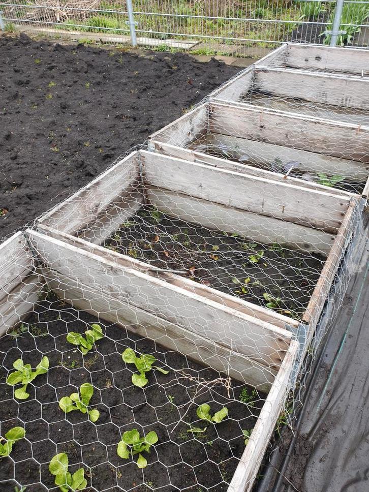 palletranden moestuinbakken tuin afscheiding, Tuin en Terras, Bloembakken en Plantenbakken, Zo goed als nieuw, Hout, Balkon, Tuin