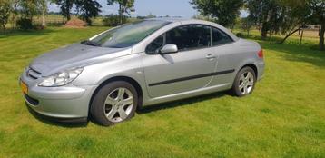 Peugeot 307 1.6 16V CC 2005 Grijs Cabrio beschikbaar voor biedingen