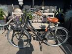 Aynak Elly Transportfiets Dames, Fietsen en Brommers, Fietsen | Dames | Damesfietsen, 53 tot 56 cm, Versnellingen, Zo goed als nieuw
