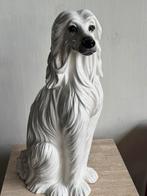 Grote Italiaanse Porseleinen Hond – 64 cm – Vintage, Ophalen of Verzenden, Gebruikt, Dier