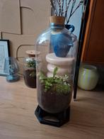 Keykeg ecosysteem met verlichting, Ophalen, Overige soorten, Minder dan 100 cm