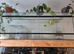 Terrarium 130 x 70, Dieren en Toebehoren, Ophalen, Zo goed als nieuw, Terrarium of Paludarium