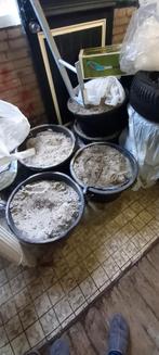 Gratis wit zand af te halen, Tuin en Terras, Zand, Ophalen, Ophoogzand