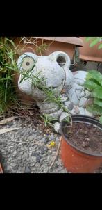 Schildpad, Tuin en Terras, Ophalen, Gebruikt, Kunststof