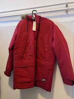 winterjas / parka Jack&Jones, Maat 48/50 (M), Nieuw, Ophalen of Verzenden, Rood