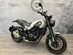BENELLI LEONCINO 500 (bj 2018), Motoren, 2 cilinders, Bedrijf, Meer dan 35 kW, 498 cc