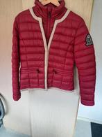 Nieuw prachtige bordo rood hv polo winterjas maat 38 m, Dieren en Toebehoren, Paardrijkleding, Nieuw, Bovenkleding, Ophalen of Verzenden