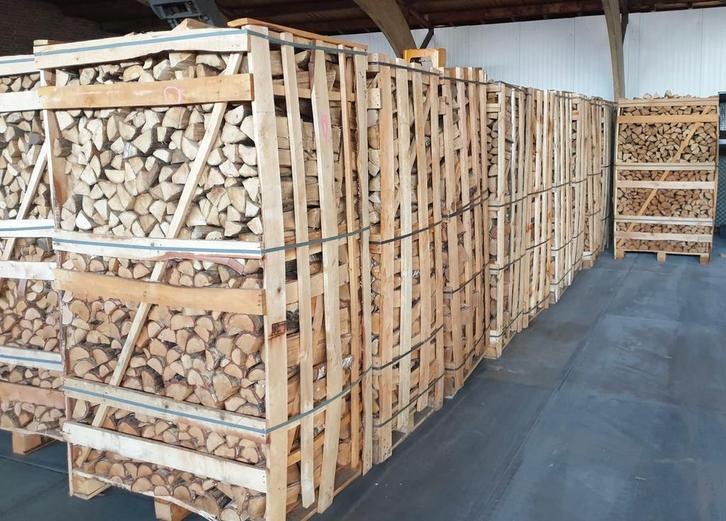 Haagbeuk / Essen / Eik / Haardhout / Brandhout / Stookhout, Tuin en Terras, Haardhout, Blokken, Essenhout, 6 m³ of meer, Ophalen of Verzenden