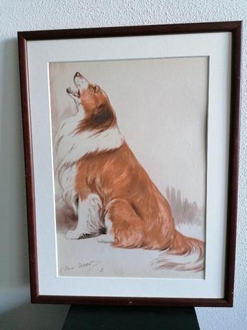 Honden Dogs Origineel Litho Print Diana Thorne Lijst 1944 beschikbaar voor biedingen