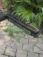 Bielzen, Tuin en Terras, Ophalen, Gebruikt, 100 tot 200 cm, 25 cm of meer