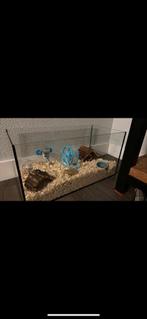 Hamsterkooi met accessoires, Minder dan 60 cm, Kooi, Minder dan 75 cm, Ophalen of Verzenden