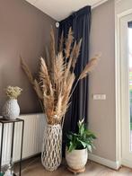 Pluim- of pampas gras, Ophalen of Verzenden, Zo goed als nieuw