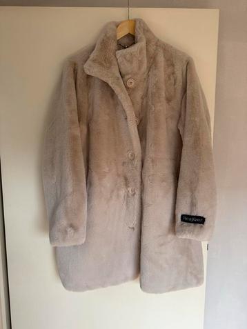 Rino & Pelle Bontjas beschikbaar voor biedingen