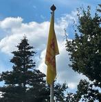 Gezocht/gevraagd: GELE CORSOVLAG Eelde, Ophalen, Gebruikt