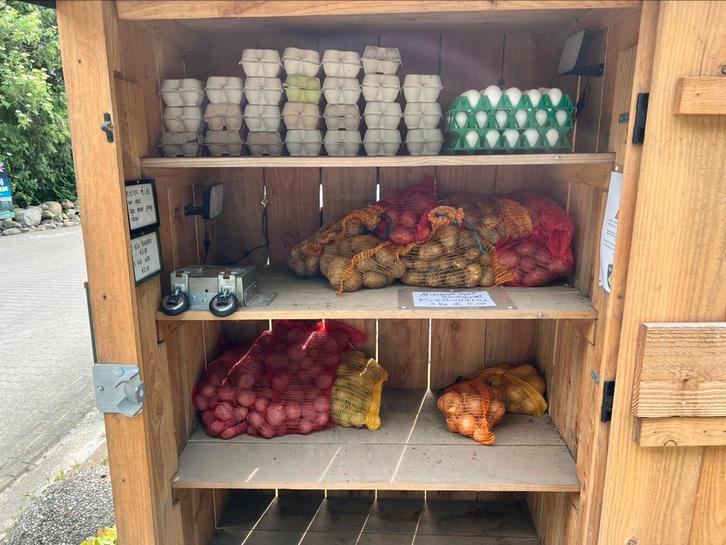 aardappelen: Bildtstar 5 kg voor € 5,00, eieren en uien., Diversen, Levensmiddelen, Ophalen