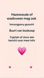 Verzorgpong gezogt, Dieren en Toebehoren, Ophalen of Verzenden