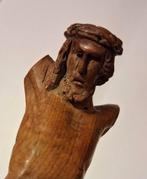 Corpus Christi hout, Ophalen of Verzenden