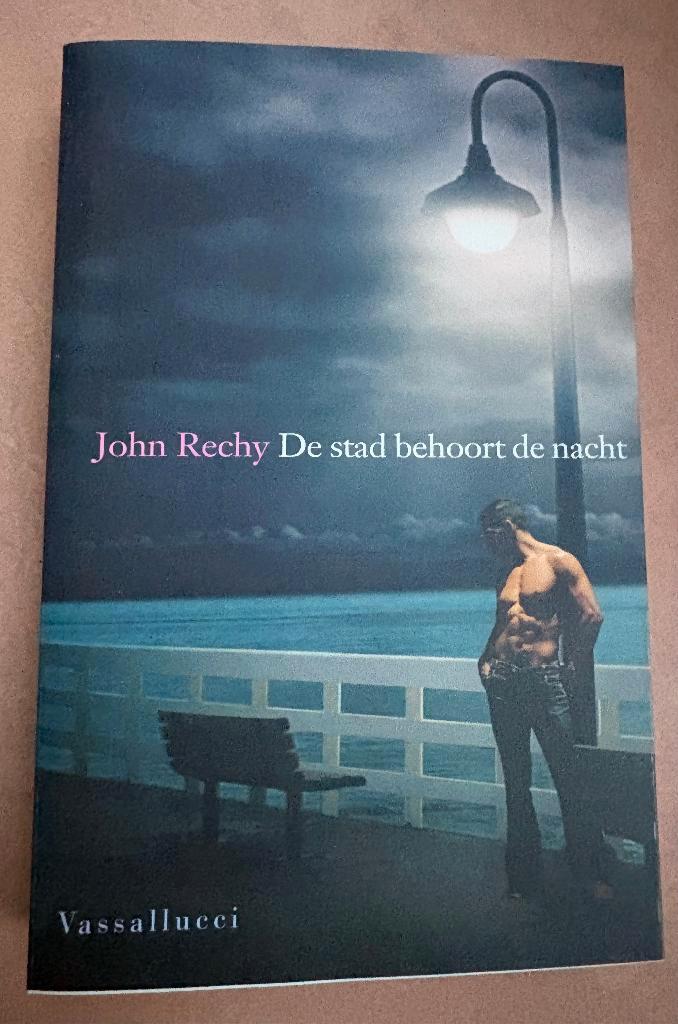 Gay klassieker 'De stad behoort de nacht' (zeldzaam), Boeken, Romans, Zo goed als nieuw, Amerika, Ophalen of Verzenden