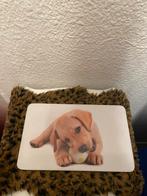 Snijplank golden retriever, Huis en Inrichting, Ophalen of Verzenden, Nieuw