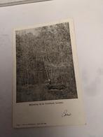 LOCHEM.  MIJMERING BIJ DE DOLLEHOED. 1905, Ophalen of Verzenden, Voor 1920, Gelderland