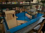 Hamsterkooi Skyline Knaagdierkooi Barney en toebehoren, Dieren en Toebehoren, Knaagdieren en Konijnen | Hokken en Kooien, Ophalen