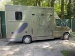 Paardenvrachtauto 2 paards met B-rijbewijs, Dieren en Toebehoren, Paarden en Pony's | Trailers en Aanhangwagens, Ophalen, Gebruikt