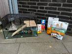 Hamsterkooi met alle toebehoren, Dieren en Toebehoren, Kooi, Minder dan 75 cm, Zo goed als nieuw, Hamster