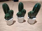 Cactus Plantje van Keramiek in Pot, Huis en Inrichting, Overige materialen, Ophalen of Verzenden, Zo goed als nieuw, Minder dan 25 cm