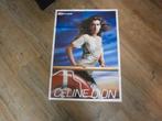 xl poster jr 90  Celine Dion /  Ricky Martin, Verzenden, Zo goed als nieuw, A1 t/m A3, Muziek