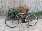 specialized allez, 28 inch, Gebruikt, Heren, Aluminium