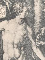 Albrecht Dürer (1471-1528) Adam en Eva prent 1922, Antiek en Kunst, Kunst | Etsen en Gravures, Verzenden