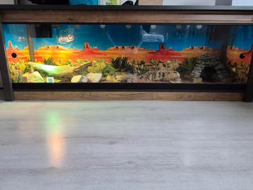 Terrarium  beschikbaar voor biedingen