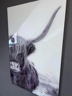 Schotse Hooglander Schilderij op Glas, Ophalen, Oorspronkelijke maker, 50 tot 75 cm, Print